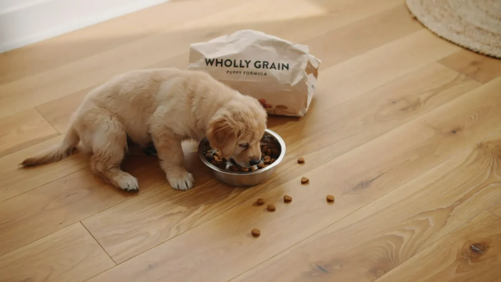 Puppy using a slow-feeder maze bowl to eat more slowly and reduce hiccups

